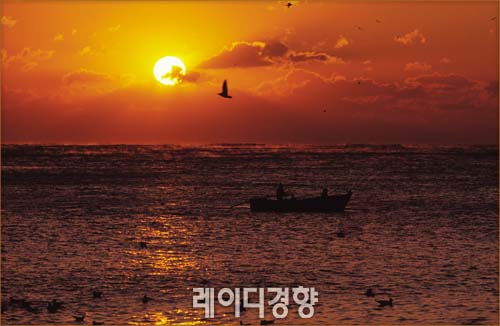 희망 이미지